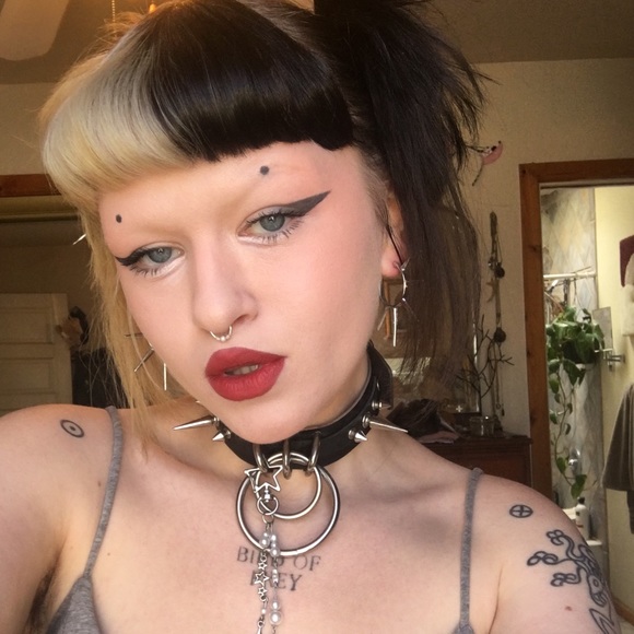 Meet your Posher, Darby - Picture 1 of 1